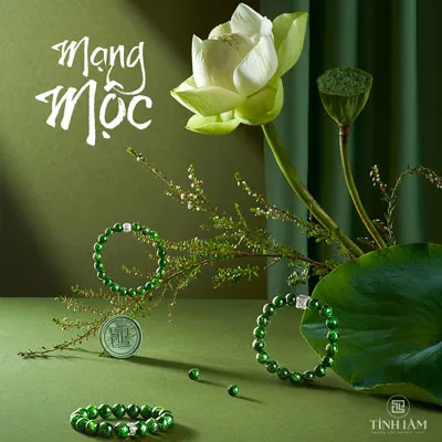 Trang chủ 78 cbhn3tgkp73lipkdcgmu